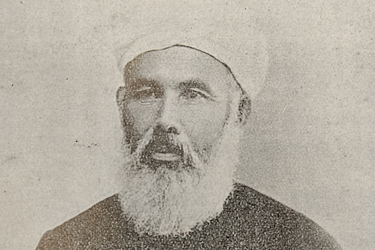 «Политическая карьера Абдуррашида Ибрагима в период младотурок является критически важной»