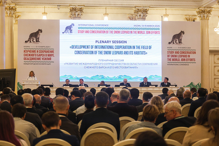  В марте 2025 года в Казани собрали большую международную конференцию по теме сохранения животного 