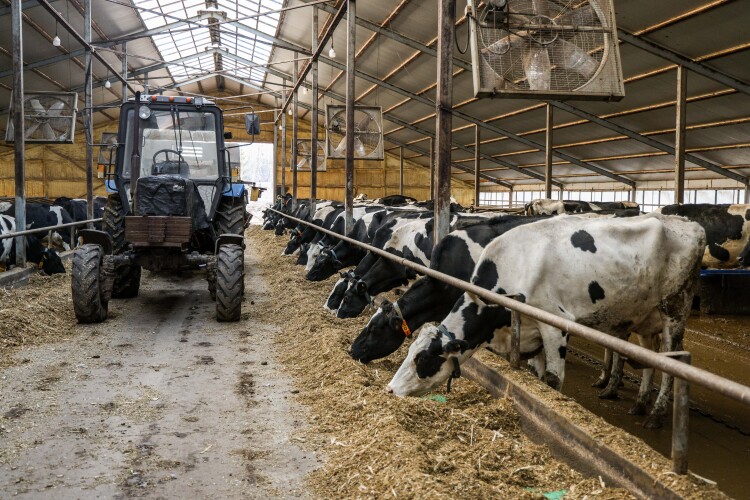 Район демонстрирует не самую высокую эффективность в производстве сельхозпродукции, отметил Мухаметшин. 38-е место в республике по производству молока на 1 га сельхозугодий и 37-е &mdash; по надою молока на одну корову