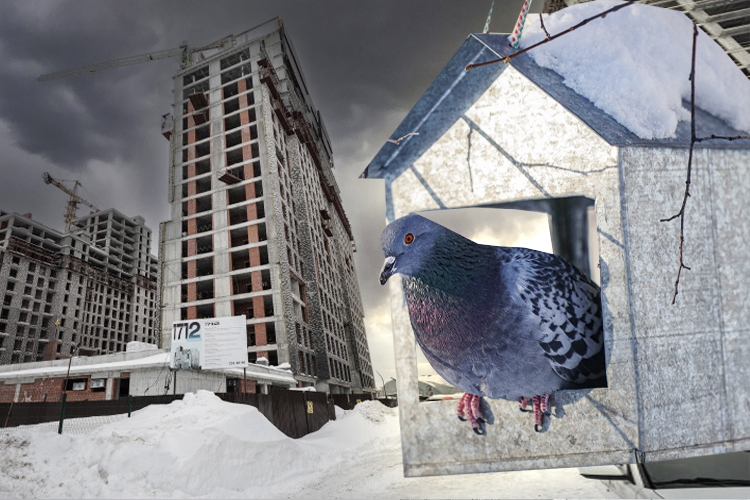 Новостройки словили откат: рынок Казани «объелся» семейной ипотекой и садится на голодный февральский паек