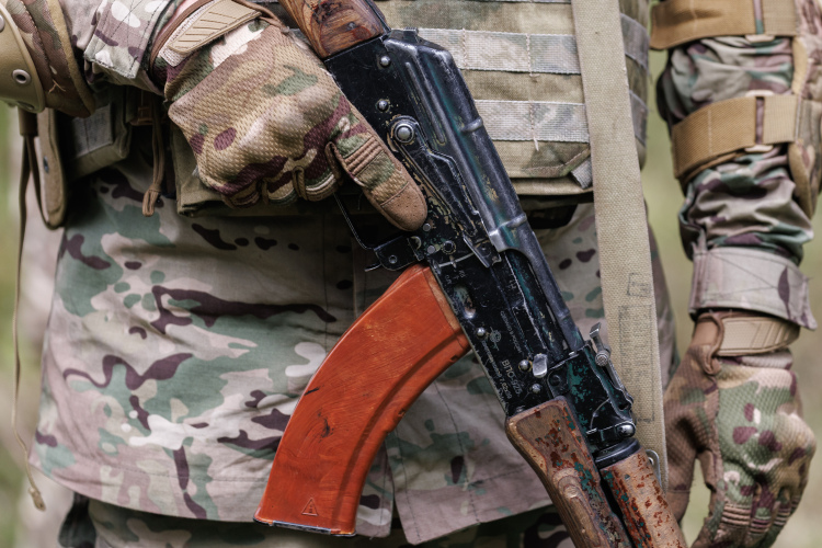 «Армия &mdash; да, у нас армия сейчас самая сильная в мире, она прекрасно решает задачи, которые перед ней стоят, но необходимо будет и формирование органов правопорядка, которые станут защищать эту территорию, выявлять фашистские, криминальные элементы»