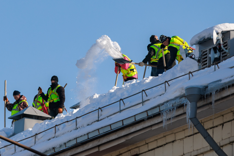 У альпинистов сезон длится всего три зимних месяца. Помимо УК, их нанимают торговые центры, промпредприятия, школы и больницы — все готовы платить любые деньги, поэтому конкурировать с коммерческими структурами по цене жилищники не в состоянии