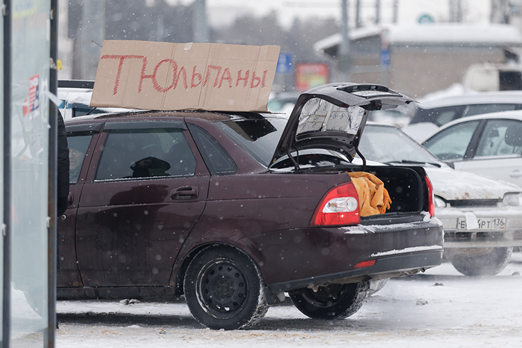 У Московского рынка торговали и с газелей, наполненными доверху тюльпанами из апастовских теплиц, и просто с легковушек