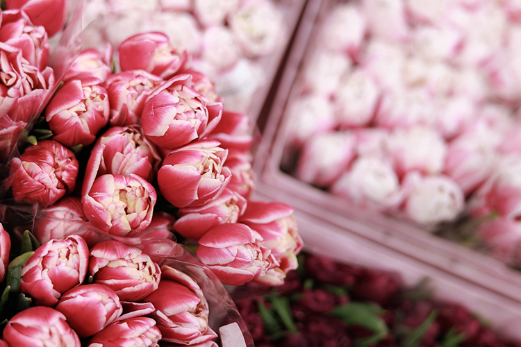 Множество тюльпанов и роз на любой вкус и цвет стояло в холодильнике — здесь торговали оптом. Экономия достигала 30-40 рублей за цветок