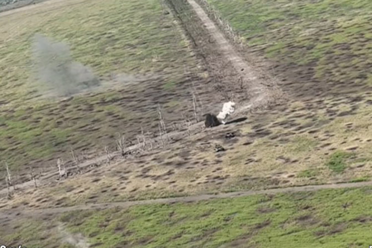 Сражение за эти высоты было битвой за общее укрепление позиций и затруднение действий противника на данном участке фронта