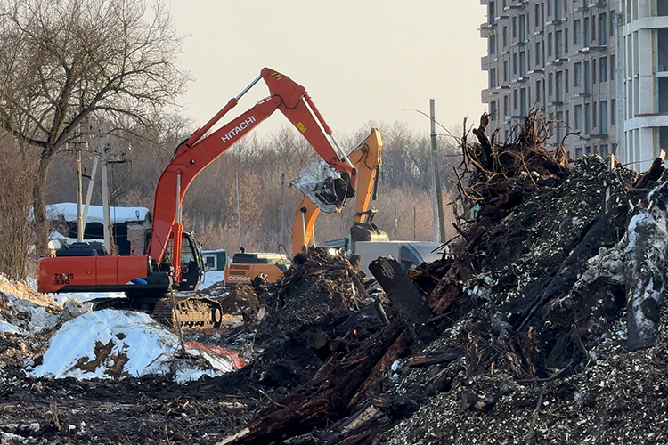 «Люди же как-то должны сюда попадать!»: как вековые деревья на «царской» Ферме-2 пошли под топор