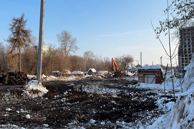 В пятницу началась вырубка деревьев на аллее, за которые так боролись градозащитники