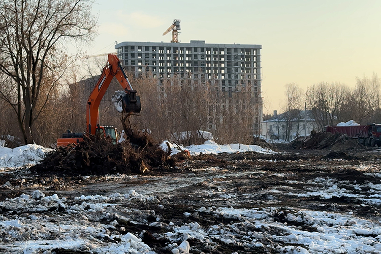 По распоряжению исполкома, в 2026-м должны высадить компенсационное озеленение. Такой ответ дали в комитете по охране ОКН
