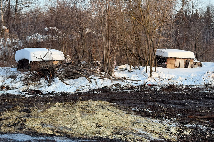 Главная ценность Фермы-2, по словам экспертов, &mdash; в ее архитектурном садово-парковом ансамбле, где сохранились не только исторические здания, но и аллеи из вековых деревьев
