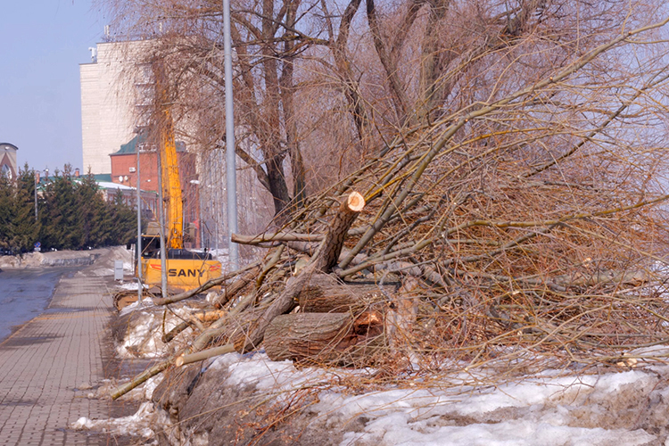 Около дюжины рабочих и 5 единиц техники насчитали корреспонденты издания на отрезке будущей набережной длиной 1,5 километра