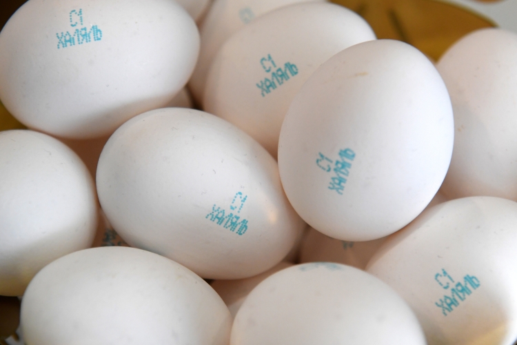 «Наличие маркировки «Халяль» дает потребителю сигнал, что продукция более чистая»