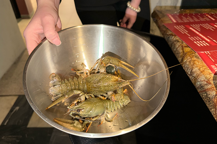 Официантка устраивала демонстрацию живых, огромных и весьма активных раков