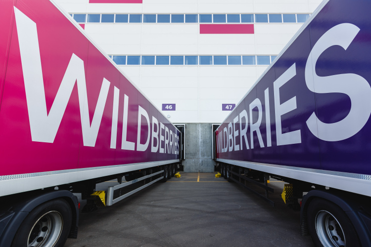 Война за Wildberries и Ozon: куда лоббистская борьба заведет маркетплейсы?