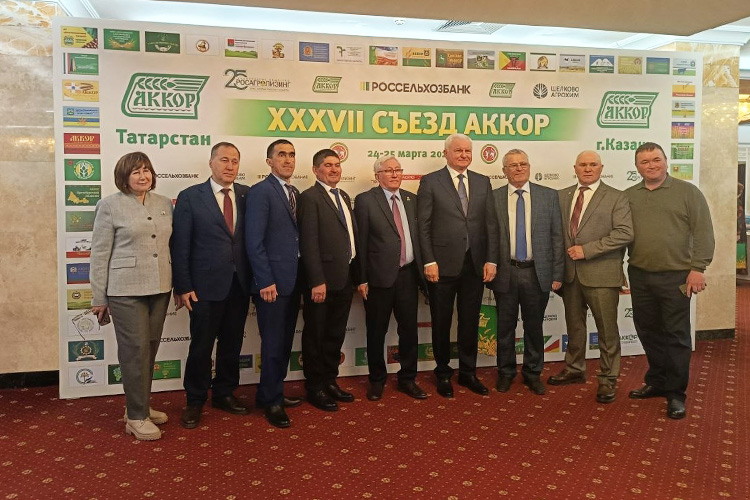 В главном зале «Корстона» собрались сплошь давние друзья