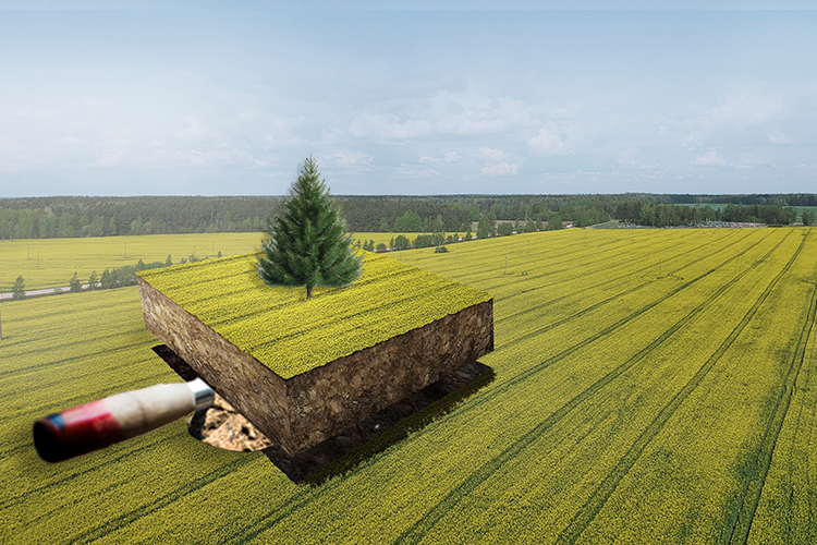 Масштаб участков растет: если первые изъятия касались небольших наделов, то теперь под удар попадают крупные владельцы с участками в сотни гектаров