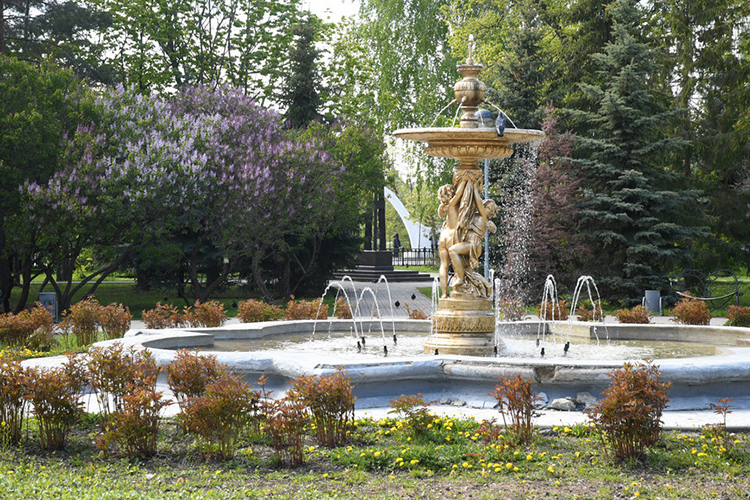 По словам Альберта Шайнурова, данную площадку [входную группу Ленинского сада у памятника А.М. Бутлерову] переоборудую в «зеленое уютное место», а что особенно интересно &mdash; пересмотрят организацию дорожного движения по улице Профессора Нужина, чтобы решить проблему хаотичной парковки у ТЦ Coliseum