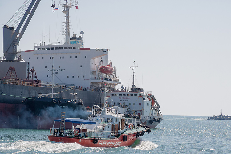 «Мы, по сути, самодостаточны. Понятно, что любая страна развивается, когда есть приток внешнего финансирования. Этот закон никак не обойти. Нельзя до бесконечности печатать свои деньги. То есть экспортно-импортная деятельность в любом случае нужна. И осуществлять эти операции по морю нам необходимо»