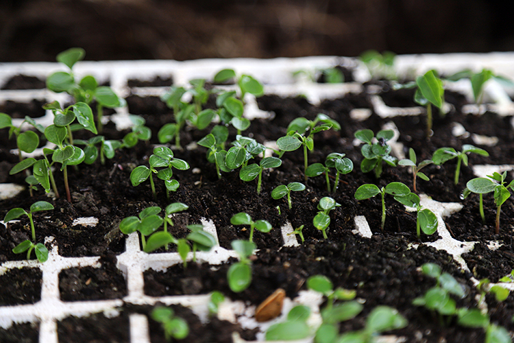 «У производителей удобрений всегда один глаз смотрел на мировой рынок, а второй глаз на внутренний»