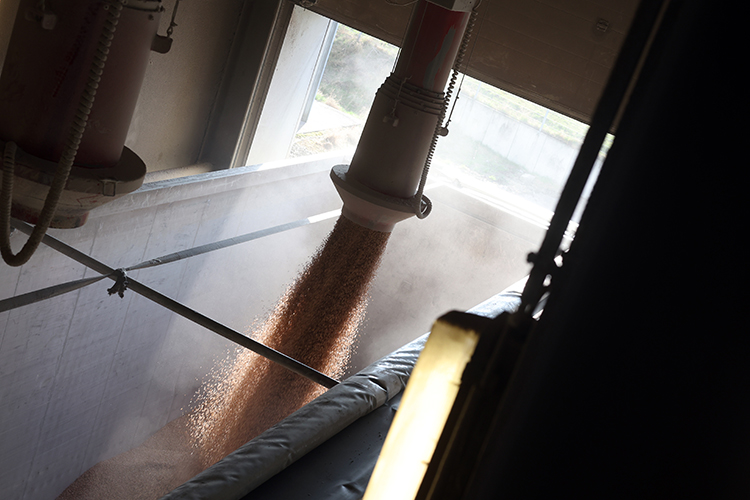 «Саудовская Аравия и ОАЭ критически зависели от ввоза российского зерна, а именно &mdash; мягкой пшеницы, потому что твердую пшеницу, рис везли из других стран»