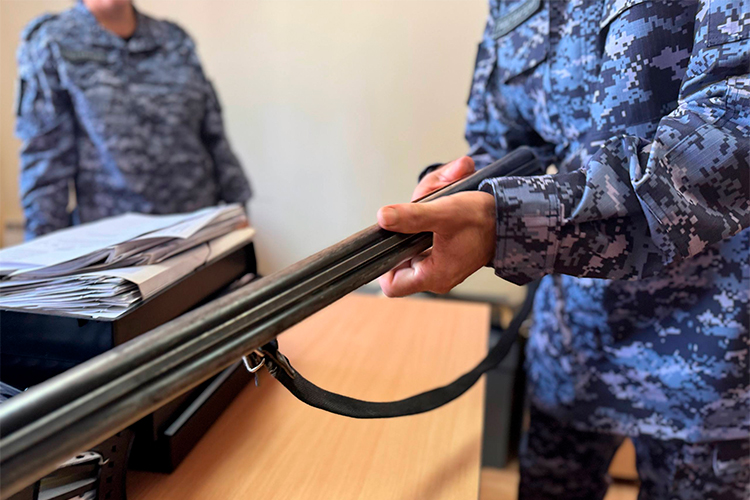 Поднялась стоимость лицензии на само ружье с 1,5 тыс. рублей до 5 тыс. рублей. Стоимость обучения также взлетела в 2 раза