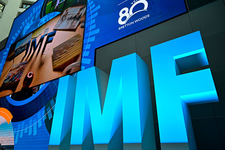 Александр Виноградов: «МВФ вынес на обсуждение своего рода мировой Госплан»