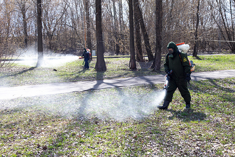 Противоклещевыми препаратами будут опрыскивать парки, скверы, сады и другие зеленые насаждения сразу после схода снежного покрова