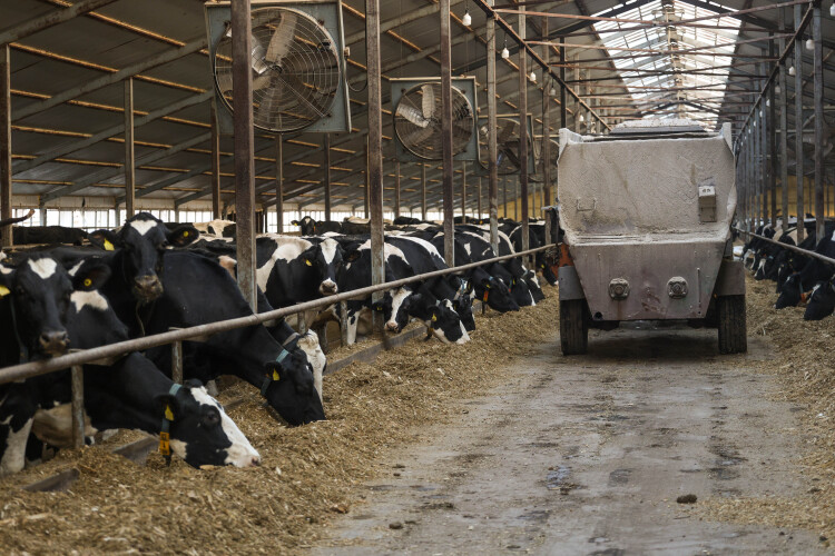 В первые два месяца 2026 года в республике на 5,4% вырос объем производства молока