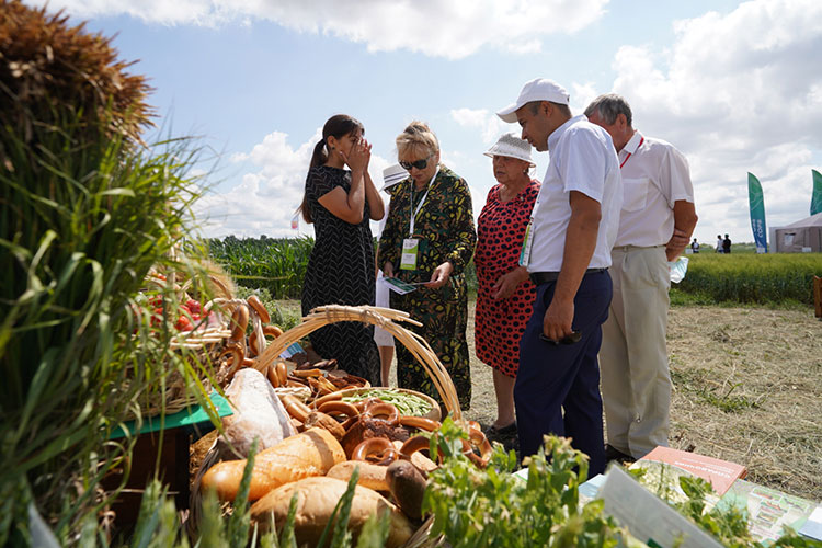 В 2025 году прибыль сельхозтоваропроизводителей в России сократилась на 13%, убытки выросли на 65%, а доля убыточных организаций достигла 22%