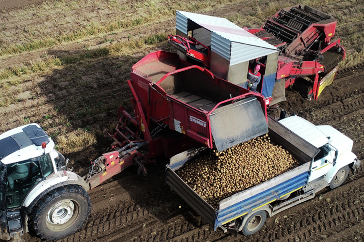 «Мы научились выращивать хлеб», &mdash; но средства производства во многом остаются импортными и «в значительной степени» изношенными &mdash; доля тракторов и комбайнов старше 10 лет составляет около 50%
