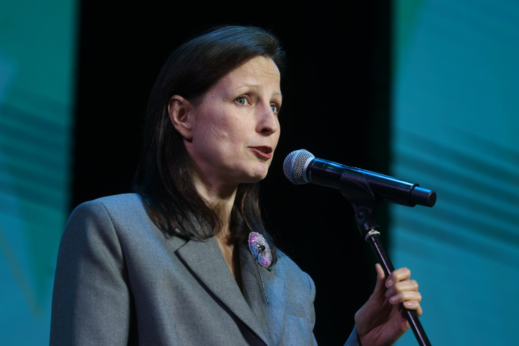 На статью авторов подвигли события в Госсовете РТ, где в середине марта ряд депутатов выразили недовольство замминистра культуры РТ Юлии Адгамовой, которая, рассказывая о подготовке к празднованию 140-летия Габдуллы Тукая, ни слова не сказала на татарском языке