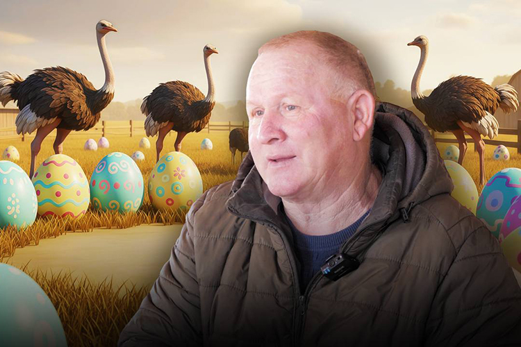 «Рычит: «Р-р-р», – значит, девочка!»: как живут на Высокой Горе страусы эму, нанду и альпаки