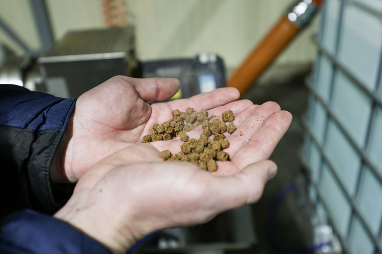 «На рыбные корма мы оставляем собственную рыбную муку из самых хороших отходов. Потому что в форелевых кормах нужно высокое содержание протеина»