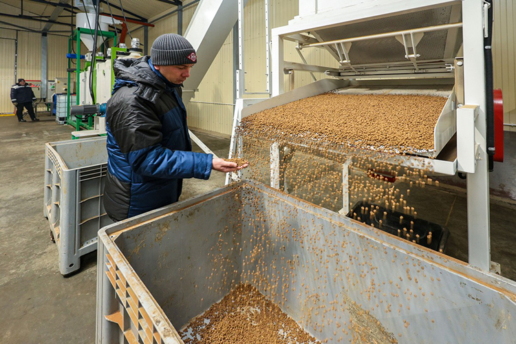 «В Пестрецах мы делали по 20 тонн рыбной муки в месяц, 10-15 тонн рыбьего жира, немного комбикормов»