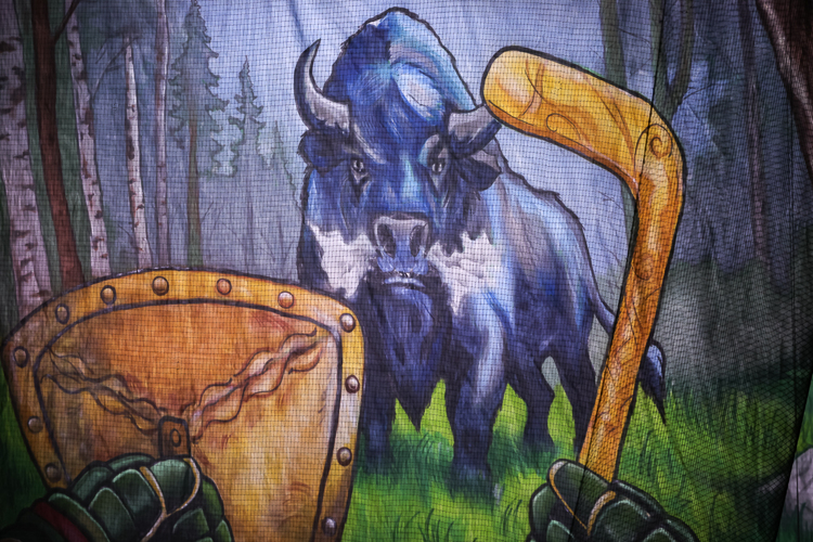 Баннер болельщиков «Ак Барса»