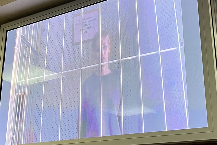 «Ваша честь, я прошу не лишать меня свободы, а избрать более мягкую меру пресечения»