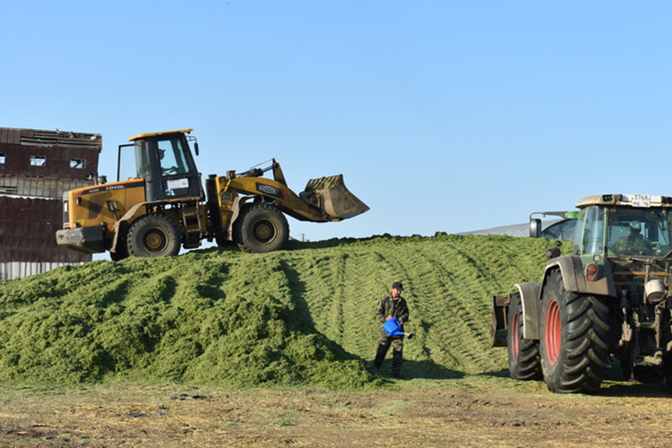 «Развитие у нашего направления определенно есть. Опять же &mdash; сельское хозяйство сейчас серьезно оцифровывают»