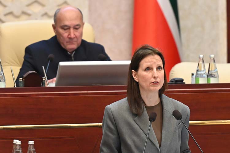 Первый заместитель министра культуры Татарстана Юлия Адгамова в Госсовете РТ