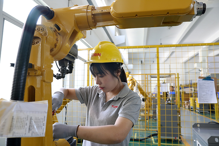 Лидеры по плотности роботизации &mdash; Южная Корея (1,2 тыс. роботов на 10 тыс. работников), Сингапур (818), Китай (567), Германия (449) и Япония (446)