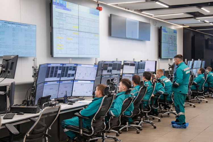 Ключевой сегмент НКНХ — эластомеры (синтетические каучуки) — показал снижение выручки на 4%, до 71,5 млрд рублей. Казалось бы, немного