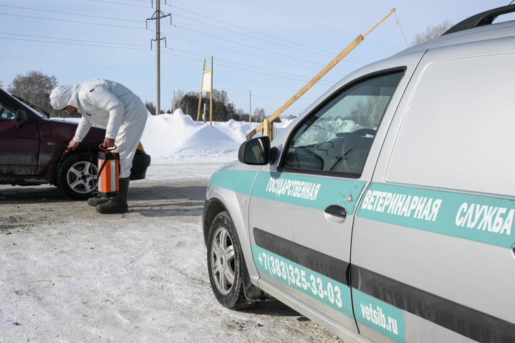 Еще один регион, которого коснулись ограничения в связи с лейкозом &mdash; Самарская область. 22 апреля карантин объявили в селе Андреевка. Инфекцию обнаружили сразу в пяти сельхозпредприятиях