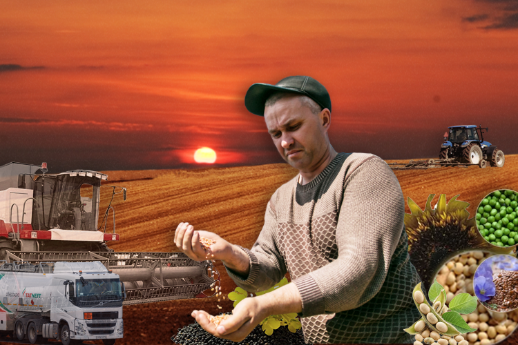 Аграрный цугцванг: 10 бед аграриев Татарстана на старте посевной