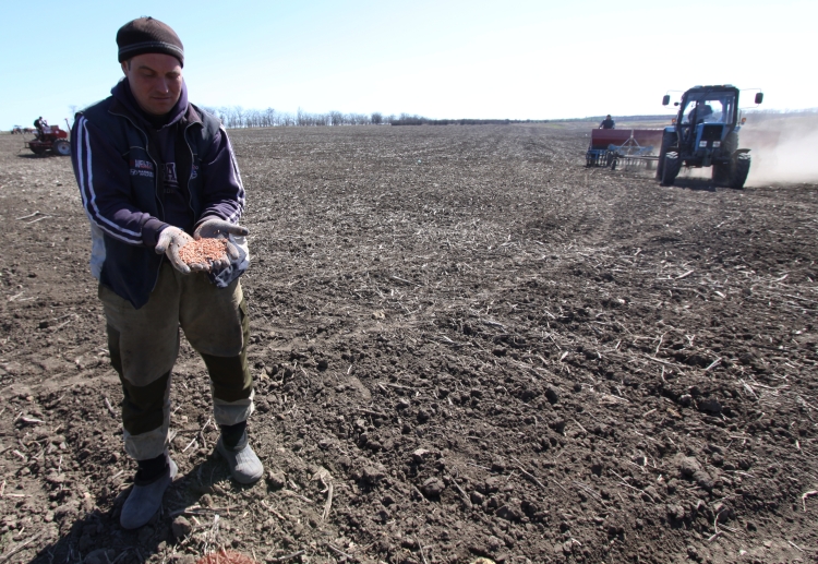 Общая посевная площадь &mdash; 2,7 млн га, из них около 1 млн га еще с осени было засеяно озимыми культурами. По данным на начало апреля, состояние озимых в РТ &mdash; хорошее. Большие снега минувшей зимой не принесли вреда полям, скорее наоборот &mdash; напоили влагой