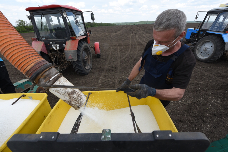 Дефицита удобрений в нашей стране нет, но удержать цены внутри РФ все равно не удалось