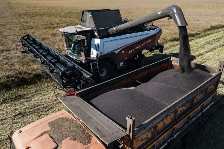 Сейчас растениеводы зарабатывают на выращивании подсолнечника, сахарной свеклы, рапса, овощах и др. Однако бесконечно наращивать площади технических культур тоже невозможно &mdash; есть же понятие севооборота