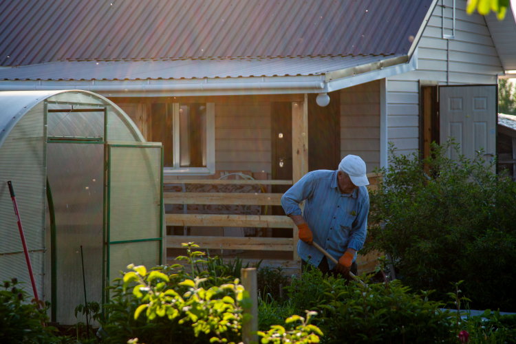 В принципе главный страх любого председателя СНТ &mdash; это не долги по взносам, не нескошенная трава!