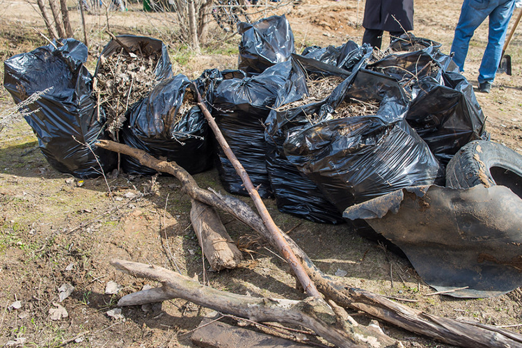 Центральный общегородской субботник в городе прошел в минувшую субботу на площадке парка Урицкого