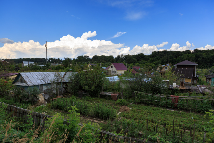 Обида за отсутствие свободных земель у Крихуна отсутствует, зато есть рабочее предложение &mdash; мол, а почему бы не взять пустующие или заброшенные участки в СНТ и отдать их ветеранам СВО?