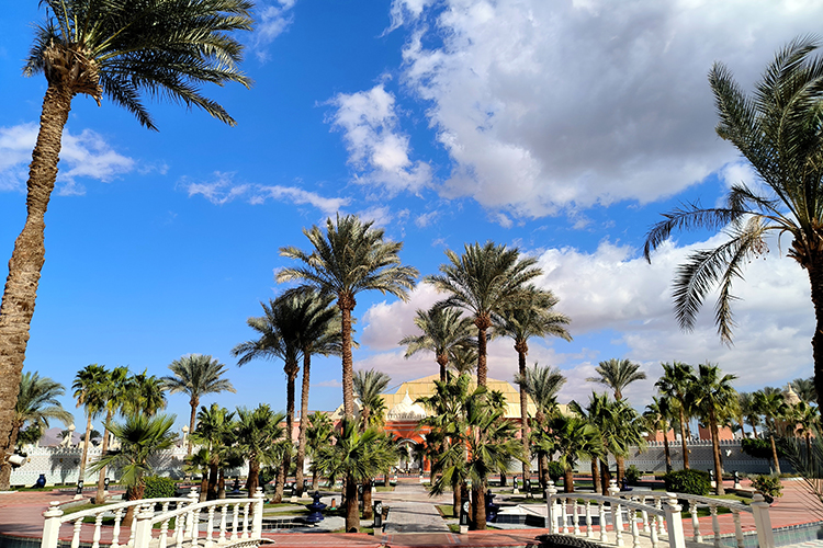 По словам президента ассоциации турагентств РТ Рамиля Мифтахова, в перечень популярных у татарстанцев направлений входят Турция, страны СНГ (Узбекистан, Грузия, Армения), Египет, Хайнань, Вьетнам и Таиланд