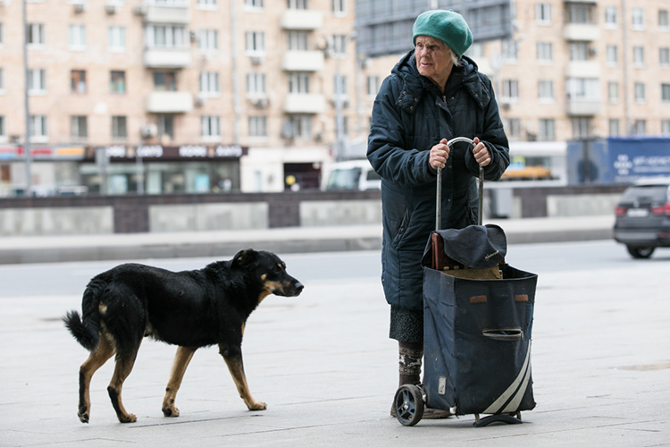 «За эти годы на 43% уменьшилось число жалоб граждан на животных без владельцев. На треть сократилось количество укусов безнадзорными собаками &mdash; с почти 2000 в 2021 году до 1433 в прошлом»