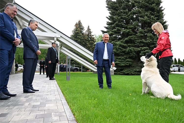 Минниханов показал Бердымухамедову своего алабая Акдуса, подаренного Бердымухамедовым в 2021 году